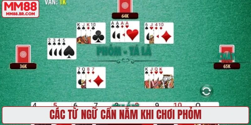 Các từ ngữ cần nắm khi chơi phỏm